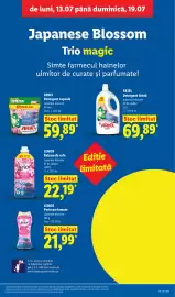Catalog Lidl săptămâna 29 Pagină 37