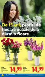 Catalog Lidl săptămâna 29 Pagină 58