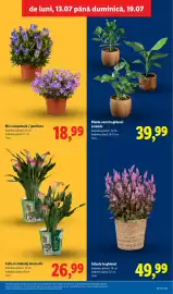 Catalog Lidl săptămâna 29 Pagină 59