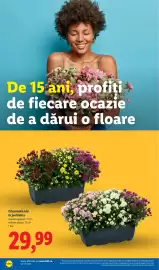 Catalog Lidl săptămâna 29 Pagină 60