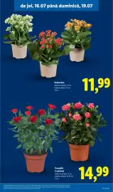 Catalog Lidl săptămâna 29 Pagină 61