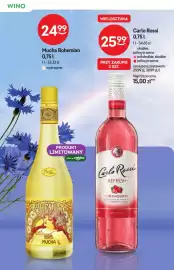Żabka gazetka | Alkohole Strona 18