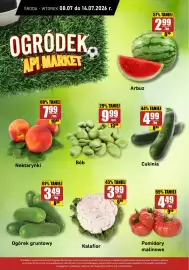 API MARKET gazetka tydzień 28 Strona 15
