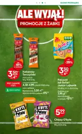 Żabka gazetka Strona 22
