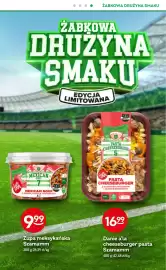 Żabka gazetka Strona 9