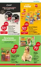 Żabka gazetka Strona 91