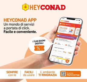 Volantino Conad Superstore settimana 28 Pagina 8