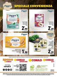Volantino Conad City settimana 28 Pagina 8