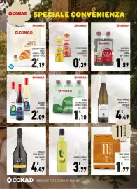 Volantino Conad City settimana 28 Pagina 7