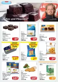 Kastner Flugblatt Seite 13