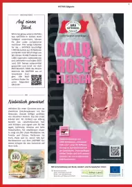 Kastner Flugblatt Seite 18