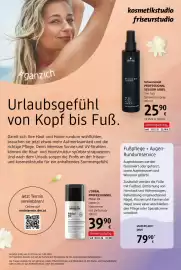 Dm Flugblatt Seite 10