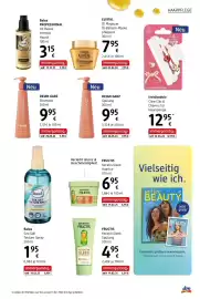 Dm Flugblatt Seite 11
