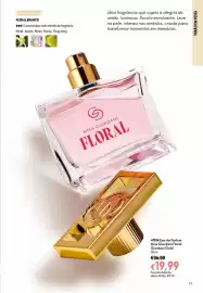 Catálogo Oriflame Página 13