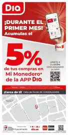 Folleto La Plaza de DIA semana 28 Página 12