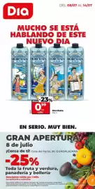 Catálogo Dia Supermercados semana 28 Página 1