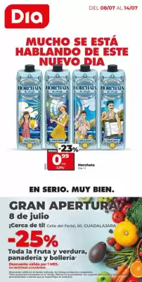 Catálogo Dia Supermercados (válido hasta el 14-07)