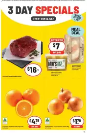 IGA catalogue Page 1