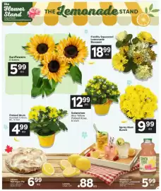 Quality Foods flyer week 28 Page 3