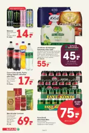SPAR tilbudsavis uge 28 Side 13