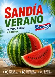 Folleto Sangüi Página 2
