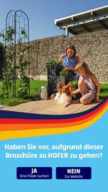 Hofer Flugblatt woche 28 Seite 42