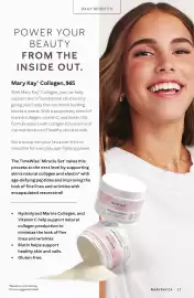 Mary Kay flyer Page 17