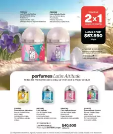 Catálogo Avon Página 62