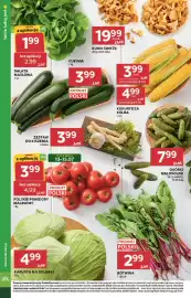 Stokrotka gazetka tydzień 28 Strona 15