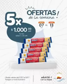 Catálogo El Milagro Mayorista semana 28 Página 1