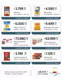 Catálogo El Milagro Mayorista semana 28 Página 13