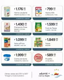 Catálogo El Milagro Mayorista semana 28 Página 15