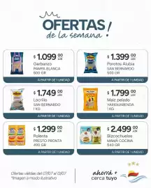 Catálogo El Milagro Mayorista semana 28 Página 18
