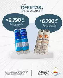 Catálogo El Milagro Mayorista semana 28 Página 7