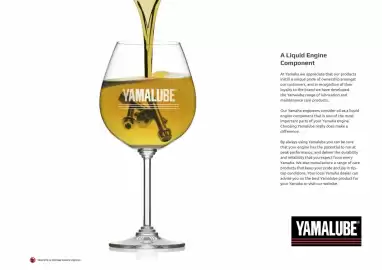 Yamaha Prospekt Seite 27