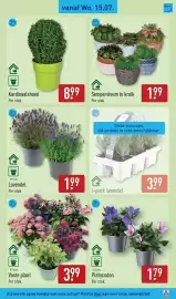 ALDI folder week 29 Pagina 43
