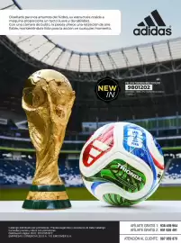 Catálogo Bata Página 66