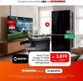 Catálogo Hiraoka Página 4