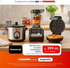 Catálogo Hiraoka Página 6