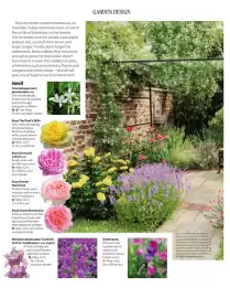 Squires Garden Centres leaflet Page 10