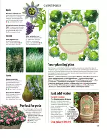 Squires Garden Centres leaflet Page 13