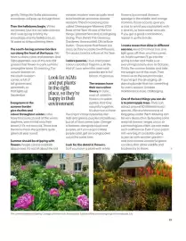 Squires Garden Centres leaflet Page 15