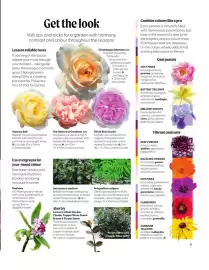 Squires Garden Centres leaflet Page 17