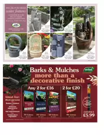Squires Garden Centres leaflet Page 19