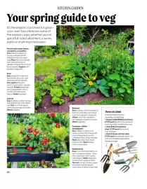 Squires Garden Centres leaflet Page 20