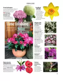 Squires Garden Centres leaflet Page 25