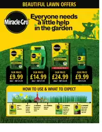 Squires Garden Centres leaflet Page 29