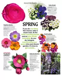 Squires Garden Centres leaflet Page 3