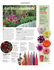 Squires Garden Centres leaflet Page 39
