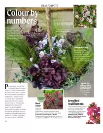 Squires Garden Centres leaflet Page 42